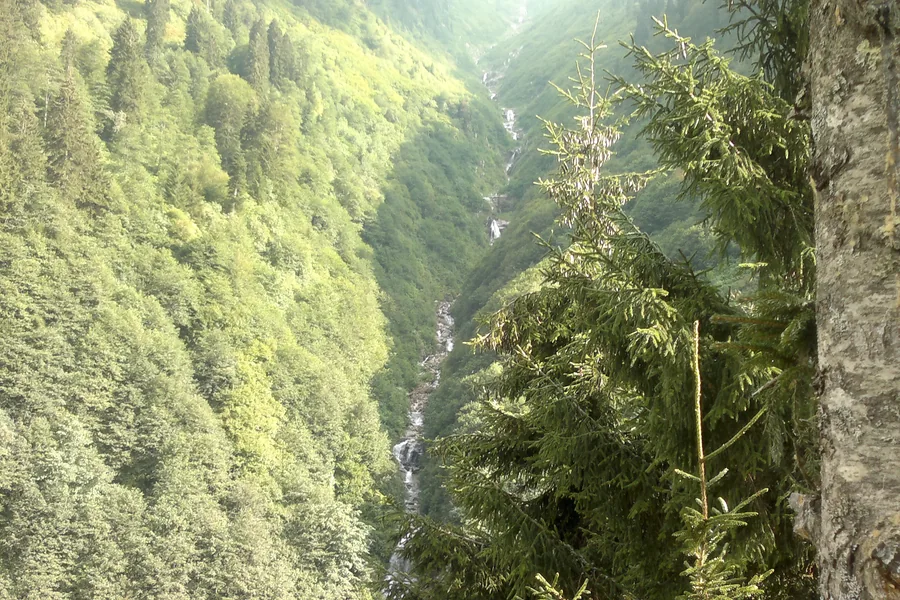 Ayder çevresinin ormanlık yamaçlarında akan şelale